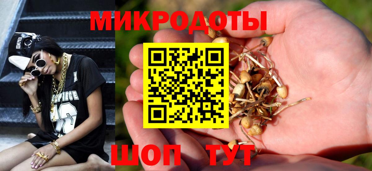 Псилоцибиновые грибы мицелий  Вход с VPN  Сарапул 